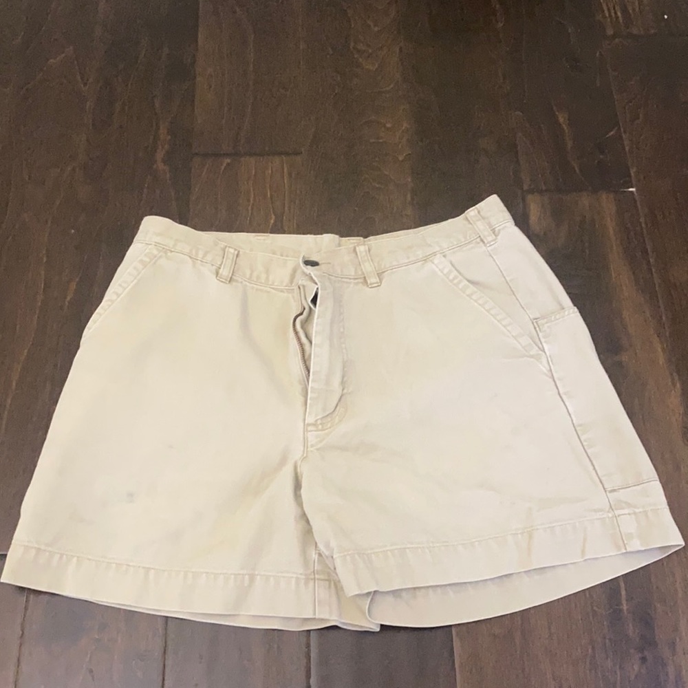 Patagonia Shorts Size 34
